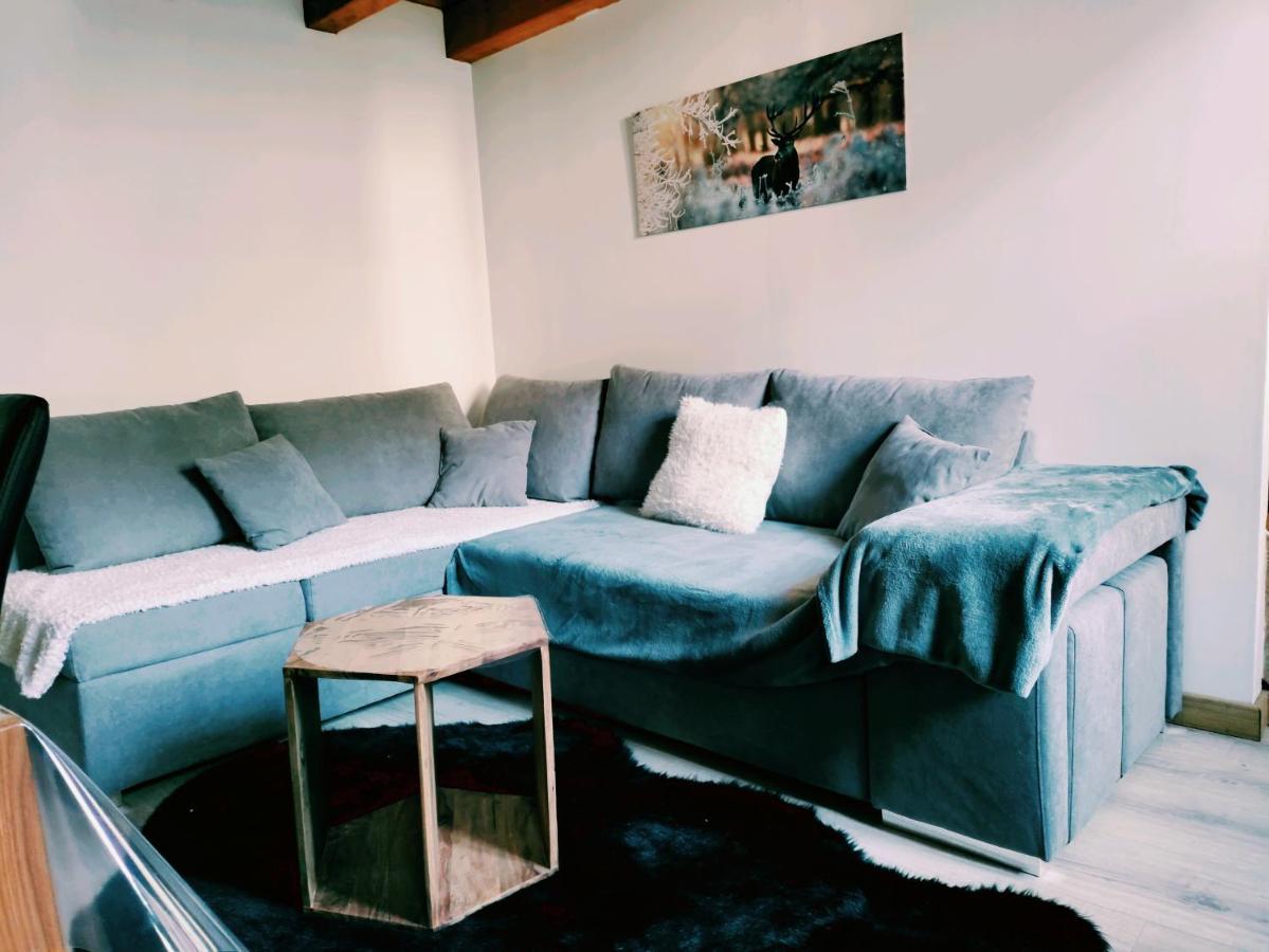 T3 Duplex Cures Ou Vacances, En Plein Centre-ville Allee D'ethigny Apartment